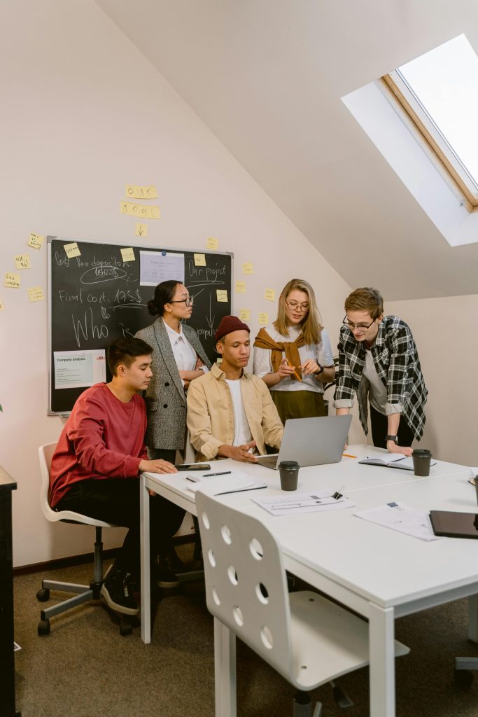 Les formations NOEMA Business School